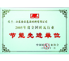 2005 national brick and tile industry energy-saving advanced units